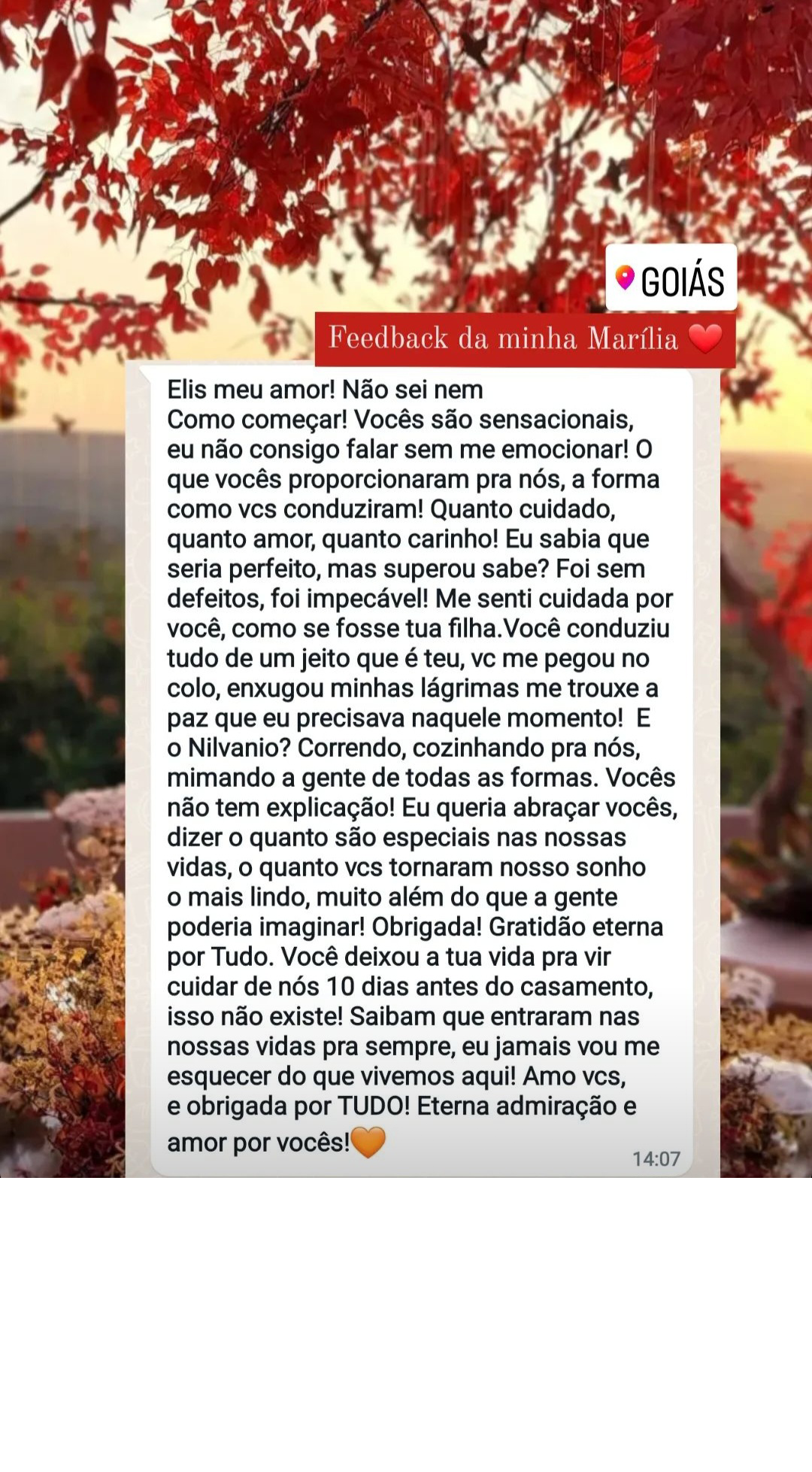 Story de feedback da noiva Marília sobre o casamento conduzido pela Elis